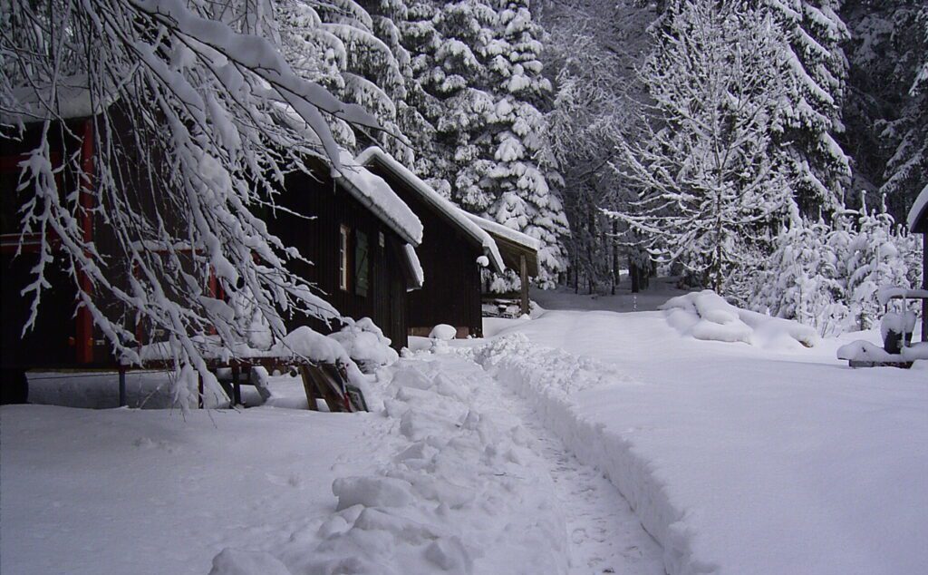Schnee 2006