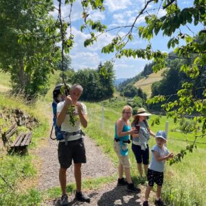 Sommerlicher Wiesensteig